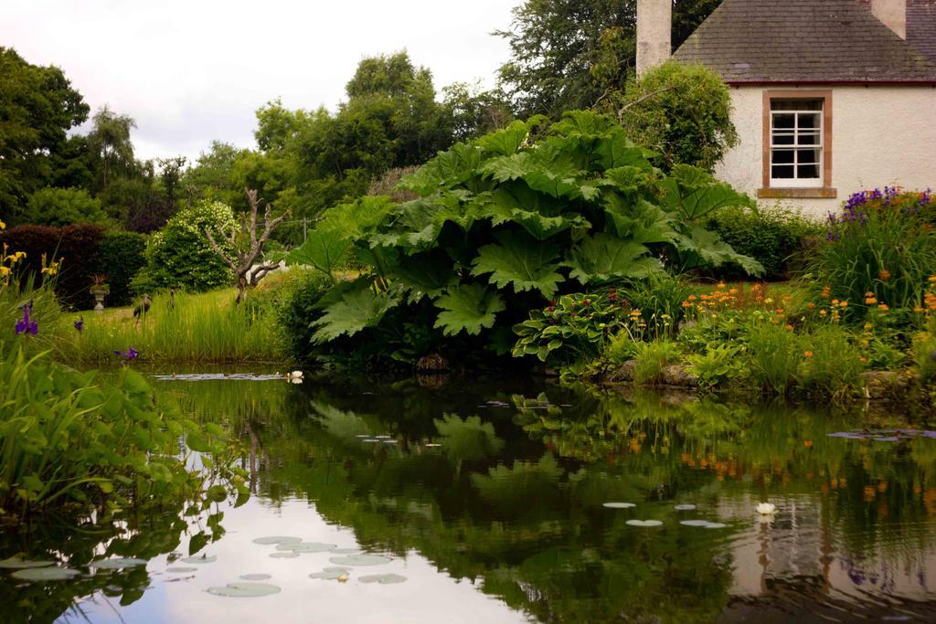 The Dower House Hotel Muir of Ord Quarto foto
